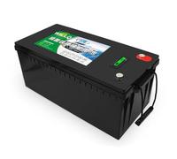 WILLQ Batterie LiFePO4 12V 150Ah 200Ah 230Ah 300Ah 400Ah 460Ah Batterie Lithium Fer Phosphate 12 Volts pour Camping-Car sondeur pêche Camping énergie Solaire,12v230ah