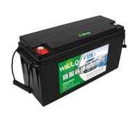 WILLQ Batterie LiFePO4 12V 150Ah 200Ah 230Ah 300Ah 400Ah 460Ah Batterie Lithium Fer Phosphate 12 Volts pour Camping-Car sondeur pêche Camping énergie Solaire,12v150ah