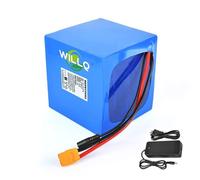 WILLQ Batterie LiFePO4 25,6 V/Batterie Lithium Rechargeable 24 V 6 Ah / 12 Ah / 18 Ah / 24 Ah / 30 Ah pour vélos électriques/Scooters/projets de Bricolage,W/Charger,25.6V18000mAh