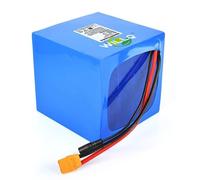 WILLQ Batterie LiFePO4 25,6 V/Batterie Lithium Rechargeable 24 V 6 Ah / 12 Ah / 18 Ah / 24 Ah / 30 Ah pour vélos électriques/Scooters/projets de Bricolage,N/Charger,25.6V24000mAh
