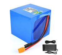 WILLQ Batterie LiFePO4 25,6 V/Batterie Lithium Rechargeable 24 V 6 Ah / 12 Ah / 18 Ah / 24 Ah / 30 Ah pour vélos électriques/Scooters/projets de Bricolage,W/Charger,25.6V24000mAh