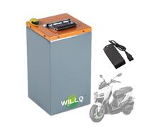 WILLQ Batterie LiFePO4 de Remplacement 72 V, 60 V et 48 V, 15 Ah, 20 Ah, 25 Ah, 30 Ah, 35 Ah et 50 Ah, Amovible, pour Scooter et Moto, avec Chargeur et Carte BMS.,72v30ah