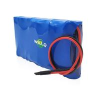 WILLQ Batterie Lithium 24 V 2 500 mAh 3 200 mAh 7S1P de Remplacement pour Scooter électrique, éclairage, Pompe à Eau et Moniteur.,24v2500mah