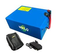 WILLQ Batterie Lithium 24V 36V 48V 10Ah 12Ah 15Ah 18Ah 20Ah 25Ah 30Ah pour Scooter électrique, avec Prise CC + T Compatible avec Les Moteurs vélo et livrée avec Sac Transport,24v20ah