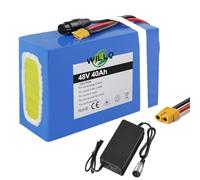 WILLQ Batterie Lithium 48V 40Ah Batterie 48 Volts pour Tricycle électrique Trottinette électrique Moto ou vélo électrique Compatible avec Les Kits Moteur 250W 500W 750W 1000W 2000W