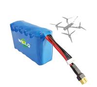 WILLQ Batterie Lithium 6S 22,2V 10C pour modèles réduits d'avions 8000mAh 12000mAh 15000mAh Batterie Secours pour Drones FPV/Photographie aérienne pièce Rechange,22.2v 15000mah 6s3p