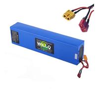 WILLQ Batterie Lithium-ION Rechargeable 48 V 10 Ah 13 Ah pour Trottinette électrique Pliable, avec BMS et Ports T + XT60 pour Moteur de vélo 250 W 500 W 650 W.,48v13ah