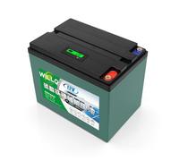 WILLQ Batterie Lithium LiFePO4 12 Volts 12V 18Ah 24Ah 30Ah 36Ah 42Ah 50Ah 60Ah 66Ah Rechargeable à décharge Profonde pour sondeur Poissons Applications solaires et Camping en extérieur,12v50ah