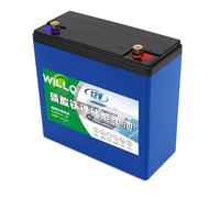 WILLQ Batterie Lithium LiFePO4 12 Volts 12V 18Ah 24Ah 30Ah 36Ah 42Ah 50Ah 60Ah 66Ah Rechargeable à décharge Profonde pour sondeur Poissons Applications solaires et Camping en extérieur,12v24ah