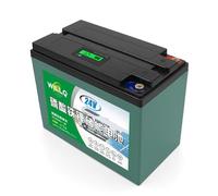 WILLQ Batterie Lithium LiFePO4 25,6V 24V 12Ah 18Ah 25Ah 30Ah 48Ah 60Ah Plus 2000 Cycles Charge/décharge, Rechargeable, idéale pour l'éclairage Camping Les sondeurs êche,24v18ah