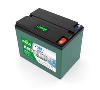 WILLQ Batterie Lithium LiFePO4 25,6V 24V 12Ah 18Ah 25Ah 30Ah 48Ah 60Ah Plus 2000 Cycles Charge/décharge, Rechargeable, idéale pour l'éclairage Camping Les sondeurs êche,24v25ah