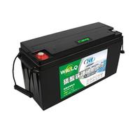 WILLQ Batterie Lithium LiFePO4 25,6V 24V 12Ah 18Ah 25Ah 30Ah 48Ah 60Ah Plus 2000 Cycles Charge/décharge, Rechargeable, idéale pour l'éclairage Camping Les sondeurs êche,24v60ah