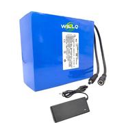 WILLQ Batterie Lithium-polymère 12 V CC, 19 Ah, 21 Ah, 23 Ah, 32 Ah, 35 Ah, 42 Ah, 45 Ah, Rechargeable et Portable pour appareils 12 V.,12v42000mah