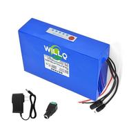 WILLQ Batterie Lithium-polymère 12 V Haute capacité 5 Ah, 8 Ah, 10 Ah, 20 Ah, 30 Ah, 40 Ah, 50 Ah, 60 Ah pour éclairage Public Solaire et Alimentation de Secours extérieure.,12v 40000mah