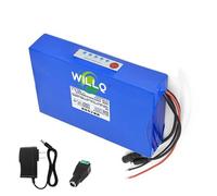 WILLQ Batterie Lithium-polymère 12 V Haute capacité 5 Ah, 8 Ah, 10 Ah, 20 Ah, 30 Ah, 40 Ah, 50 Ah, 60 Ah pour éclairage Public Solaire et Alimentation de Secours extérieure.,12v 30000mah