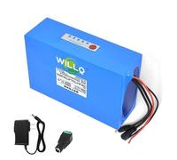 WILLQ Batterie Lithium-polymère 12 V Haute capacité 5 Ah, 8 Ah, 10 Ah, 20 Ah, 30 Ah, 40 Ah, 50 Ah, 60 Ah pour éclairage Public Solaire et Alimentation de Secours extérieure.,12v 50000mah