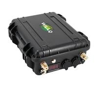 WILLQ Batterie Lithium Rechargeable 12V 24V 60Ah 80Ah 100Ah 120Ah 150Ah 200Ah pour propulseur d'extérieur, Accessoire de Propulsion Marine pour hélice de Bateau de pêche,12v60ah