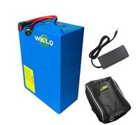WILLQ Batterie Lithium Remplacement 24V 36V 48V 10Ah 12Ah 15Ah 18Ah 20Ah 25Ah 30Ah pour Scooter électrique, avec Prise en T et kit Moteur 0-1500W Sac de Transport Inclus,48v30ah