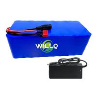 WILLQ Batterie pour vélo électrique 36 V 15 Ah 17,5 Ah 20 Ah, Batterie Lithium Rechargeable 36 Volts avec BMS et boîtier PVC pour projets DIY 720 W,T,36V20Ah