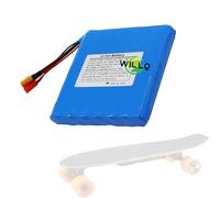 WILLQ Batterie Rechange pour Scooter électrique 25,2V 4Ah 5Ah 6Ah, Batterie Lithium 24V 4000mAh 5000mAh 6000mAh, kit de Rechange pour Hoverboard Small Fish Board,25.2v5ah