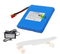 WILLQ Batterie Rechange pour Scooter électrique 25,2V 4Ah 5Ah 6Ah, Batterie Lithium 24V 4000mAh 5000mAh 6000mAh, kit de Rechange pour Hoverboard Small Fish Board,25.2v6ah+Charger