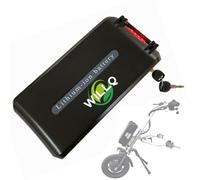 WILLQ Dispositif Traction pour Fauteuil Roulant 36V 48V Batterie Lithium-ION 13Ah 15,6Ah 18,2Ah 20,8Ah 23,4Ah pour Accessoire de Fauteuil Roulant électrique 0-900W,300mm 36v23.4ah
