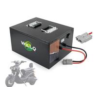WILLQ Pack Batteries Lithium-Fer-Phosphate 60V 60Ah 40Ah Batterie LiFePO4 60V pour Chariot élévateur électrique Stockage d'énergie photovoltaïque voiturette Golf Camping-Car Tricycle,60v40ah
