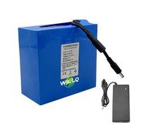 WILLQ Pack de Batterie au Lithium 12V Batterie LiPo Portable avec Chargeur | Bloc-batterie lithium-polymère 12 V CC 12Ah 16Ah 24Ah 33Ah 45Ah Pièce de rechange pour appareils électriques 12 V