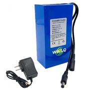 WILLQ Pack de Batterie au Lithium 12V Batterie LiPo Portable avec Chargeur | Bloc-batterie lithium-polymère 12 V CC 12Ah 16Ah 24Ah 33Ah 45Ah Pièce de rechange pour appareils électriques 12 V