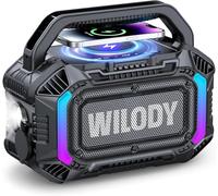 Wilody Enceinte Bluetooth Portable,Enceinte extérieure puissante avec Basses Profondes 100W,Enceinte Lumineuse IPX7,avec Recharge sans Fil,20 Heures d'autonomie,entrée TF/AUX/USB-C,TWS,BT5.3,Noir