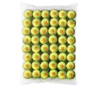 Wilson Balles de tennis Starter – 48 unités – Jaune