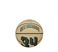 WILSON Ballon de basket d'extérieur NBA Player Icon - Taille 7-74,9 cm et taille mini