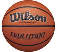 Wilson Balons Evolution Indoor, WTB0516XBEMEA