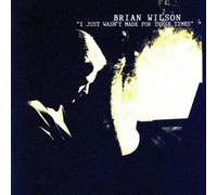 Wilson, Brian - I Just Wasn't Made for These Times by Wilson, Brian (1995) Audio CD