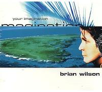 Wilson, Brian - Your Imagination/Happy Days
