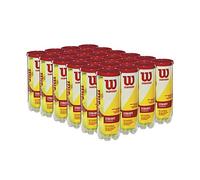 Wilson Championship Étui pour 72 balles de Tennis Jaune