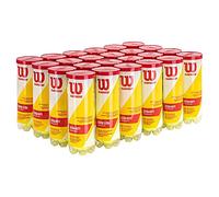 Wilson Championship Lot de 72 balles de Tennis