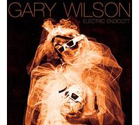 Wilson, Gary – Electric Endicott – CD
