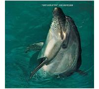 Wilson, Joe Lee - Hey Look at You [Import]