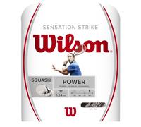Wilson Sensation Strike 17 Badminton String Unisex-Adult, White/Grey, Taille Unique