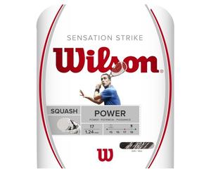 WILSON Mixte Sensation Strike 17 Badminton String, White/Grey, Taille Unique EU