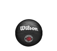 Wilson NBA Team Tribute Mini