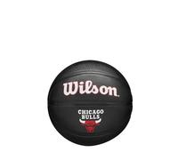 Wilson NBA Team Tribute Mini