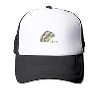 Wilson Phillips - So far [VHS]