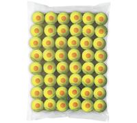 Wilson Balles de tennis Starter – 48 unités – Jaune