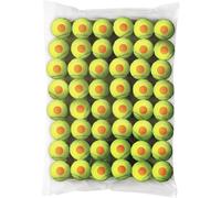 Wilson Balles de tennis Starter – 48 unités – Jaune