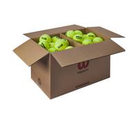 Wilson Triniti Club Tennis Balls Box 72 Units Jaune