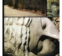 Wilt - Cemetery Road