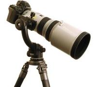 Wimberley SK-100 Tête Equilibrée Support Gros Télé G