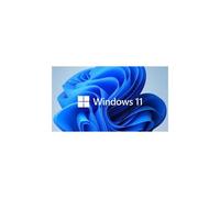 Win 11 Pro Ggk 64bit French 1pk Dsp Ort